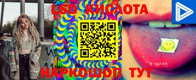 MDMA Можга